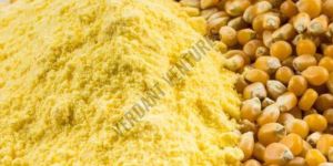 Maize Flour
