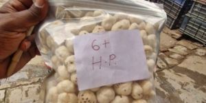 6 suta plus phool makhana