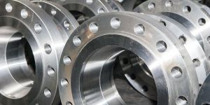 Stainless Steel Flanges