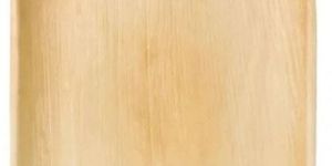 Square Areca Leaf Plate