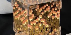 Tulip LED Lights