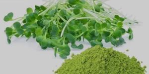 Alfalfa Powder