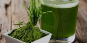 Wheat Grass Powder
