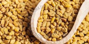 Fenugreek Seeds