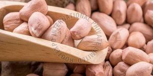 Natural Peanut Seeds