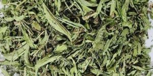Stevia Leaves