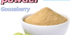 Amla Powder
