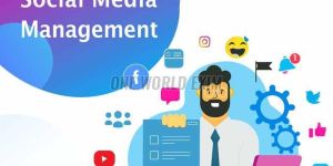 SOCIAL MEDIA MANAGEMENT Service