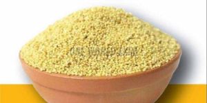 Yellow Foxtail Millet