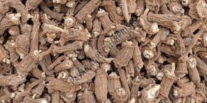 Natural Hemidesmus Indicus Nannari Roots