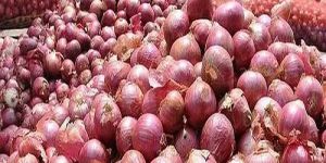 Red Onion