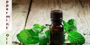 Peppermint Oil