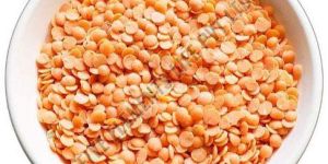 Split Red Masoor Dal