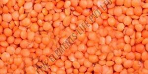 Whole Red Masoor Dal