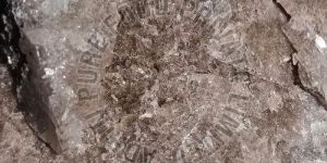 9 x roasted bamboo salt