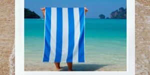 Soft and Plush Bordered Towel