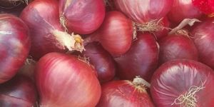 Fresh Red Onion