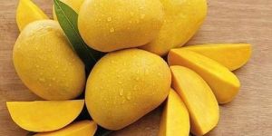 Fresh Yellow Mango