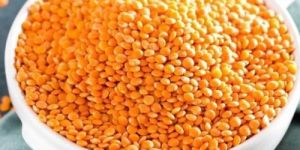 Masoor Dal