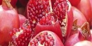 A Grade Jyoti Pomegranate