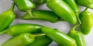 Bullet Green Chilli