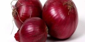 Fresh Red Onion