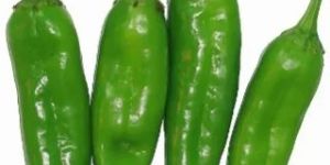 Kashmiri Green Chilli