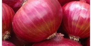 Nashik Red Onions