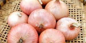 Fresh Pink Onion