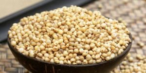 White Sorghum Seeds