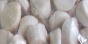 White Frozen Scallop