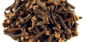 Whole Dry Cloves