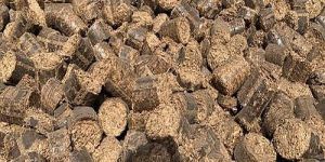 Cotton Stalk Biomass Briquettes