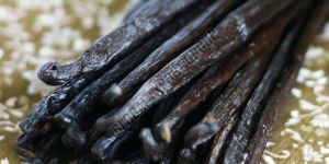 Vanilla Beans