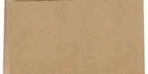 Brown Paper Shopping Bags