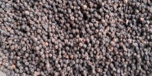 Meghalaya Black Pepper