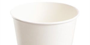 White Paper Round Disposable Bowl