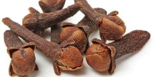 Dry Clove Seeds