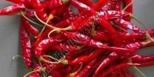Teja Dry Red Chilli