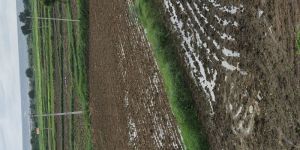 agriculture land sales service