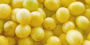 Fresh Yellow Lemons