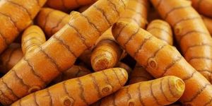 Kasturi Turmeric Finger