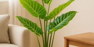 Decorative Artificial Plant