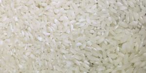 Swarna Non Basmati Rice
