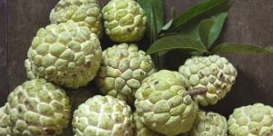 Fresh Custard Apple