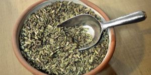 Fennel Seeds