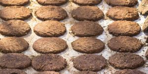 Cow Dung Cake