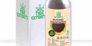 Mustard Essential Oil