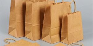 Paper Carry Bags