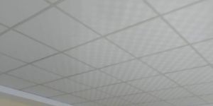 greed gypsum false ceiling